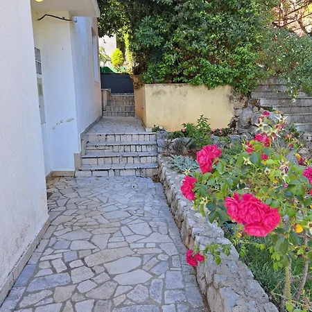 Adrasteja 3 - *
